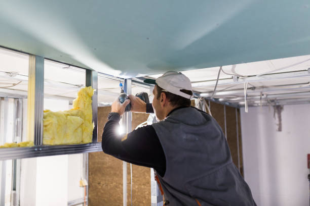 Best Insulation for Specific Applications in Meraux, LA