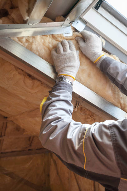 Best Insulation Maintenance and Repair in Meraux, LA