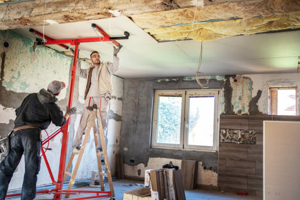 Best Geographic-Specific Insulation Services in Meraux, LA