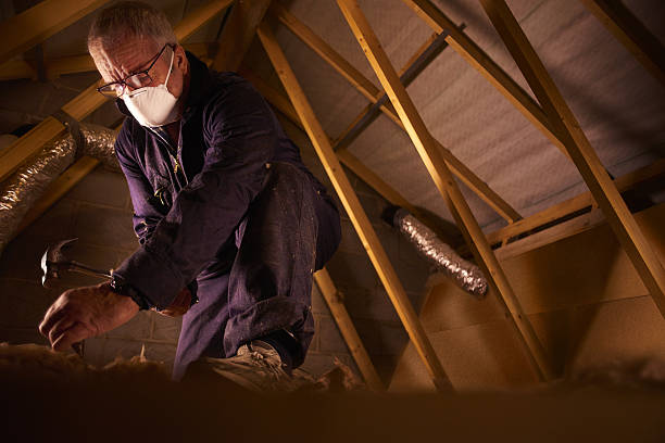 Best Blown-in Insulation in Meraux, LA